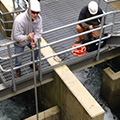 Water Quality Assessments