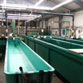 Aquaculture Programs