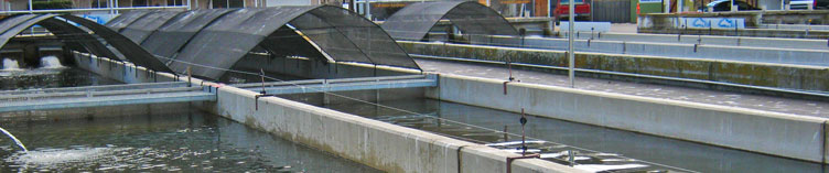 Aquaculture Programs
