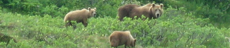 Endangered Species Act (ESA) Compliance